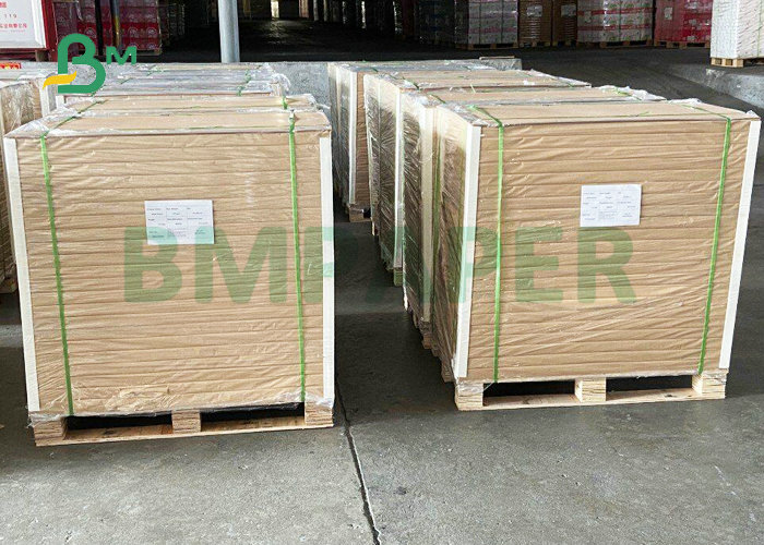 80# 100# Both Sided White C2S Gloss Cover Paper 25 x 38 inches For Printing 
