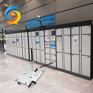 Factory Customizable Parcel Cabinet lock for Smart Outdoor delivery Locker vending machine locks