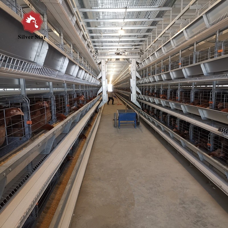 Animal Coop Chicken Layer Cage Customized Scheme Feeding Egg Equipment