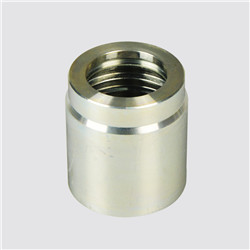 China Supplier Stainless Steel Hydraulic Male/Female Ferrule Hose Fitting