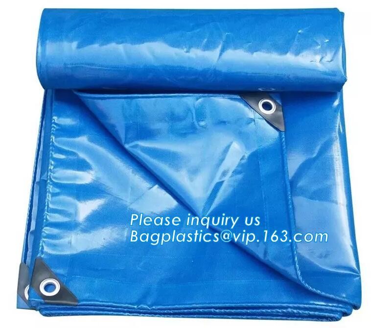Clear Vinyl Shower Curtains Fire Retardant PVC Coated Polyest Fabric,PE Cloth Material For Tarpaulin Design, bagplastics