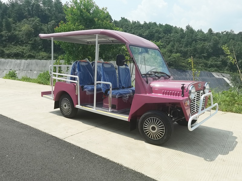 Electric Tourist Bus for Energy Golf Cart in 2022 4 Wheels and Automatic Transmission