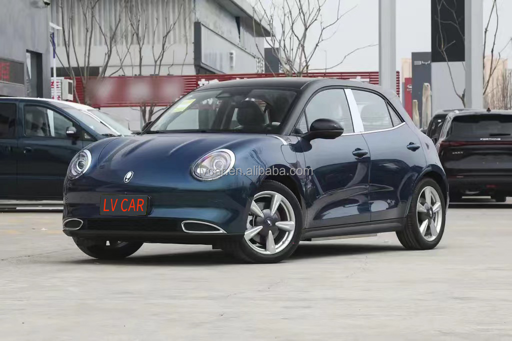 2024 ORA Good Cat Electric Car with 49.9KWH Battery Capacity and 210N.m Maximum Torque