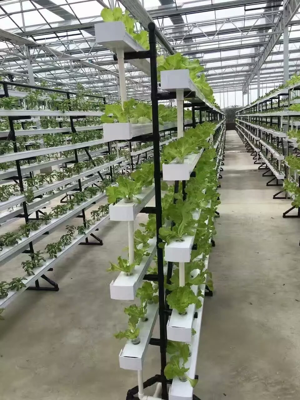 New arrival Hydroponics NFT Greenhouse System with PVC Pipe growing Kits Indoor and Garden