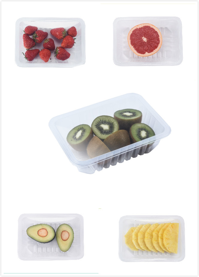 Map Packaging Equipment Modified Atmosphere Vacuum Tray Sealer Vertical Display