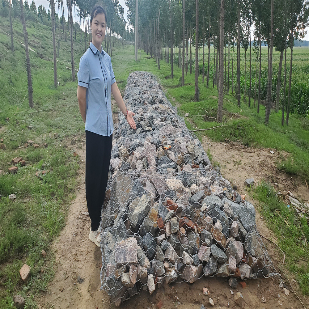 Hot Dipped Galvanized Gabion Box Retaining Wall Stone Baskets Iron Wood 3D Coated Lowes Wire Mesh