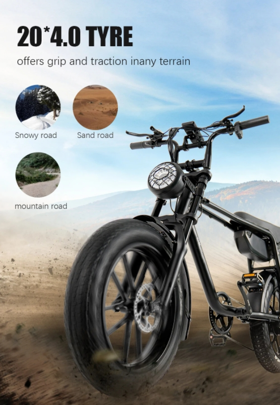 20 Inch Fat Tire Electric Bike 750 Watt Superb 73 Hot Aluminum Alloy Frame 48V 17Ah