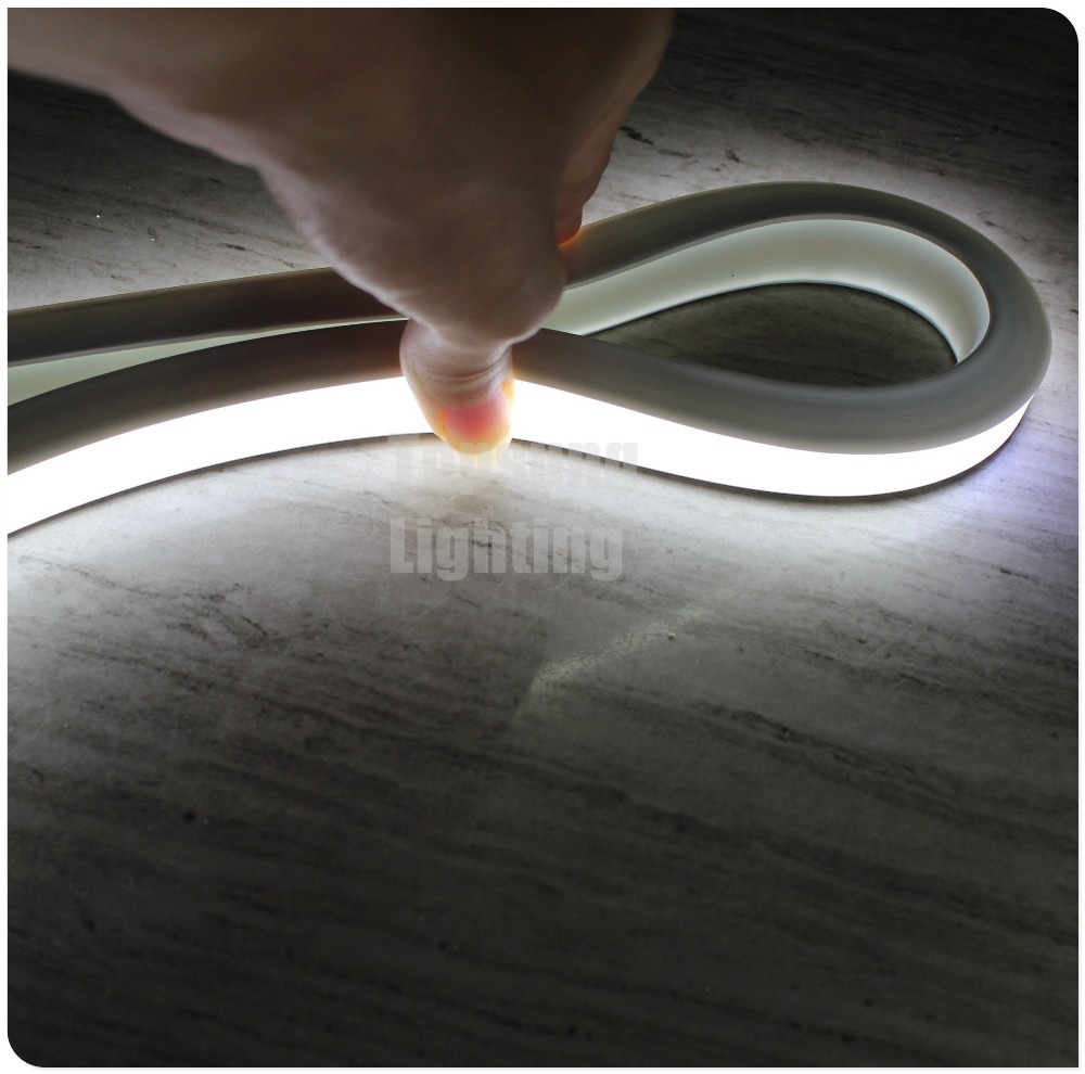 China DC 24V white led neon flex 16x16mm square shape flat neon rope IP68