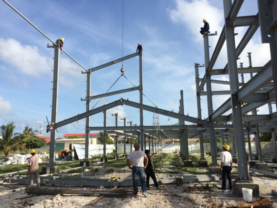 Custom Hollow Pipe Steel 25mm 40 HQ Poultry Farm Structure