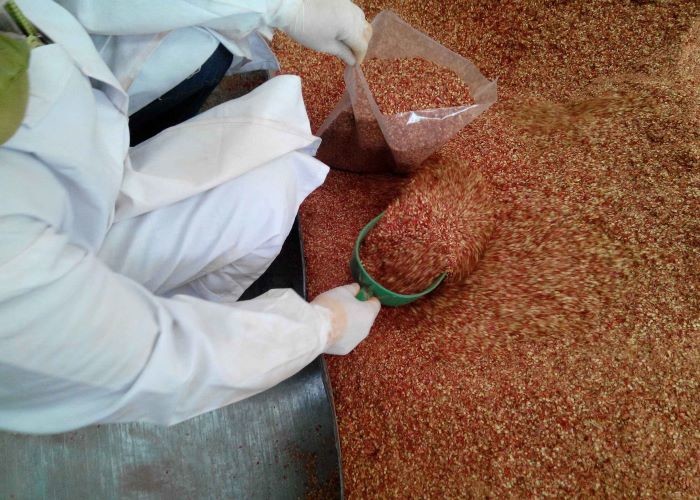 Crushed Stemless Dried Red Chili Flakes 1mm 12% Moisture Food Condiment