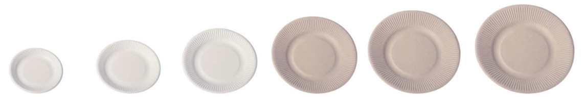 Sugarcane Bagasse Pulp Disposable Party Plates , Bamboo Compostable Plates