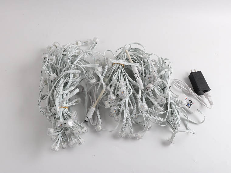 10m Customizable LED Eave Lights for Outdoor Decoration Projects