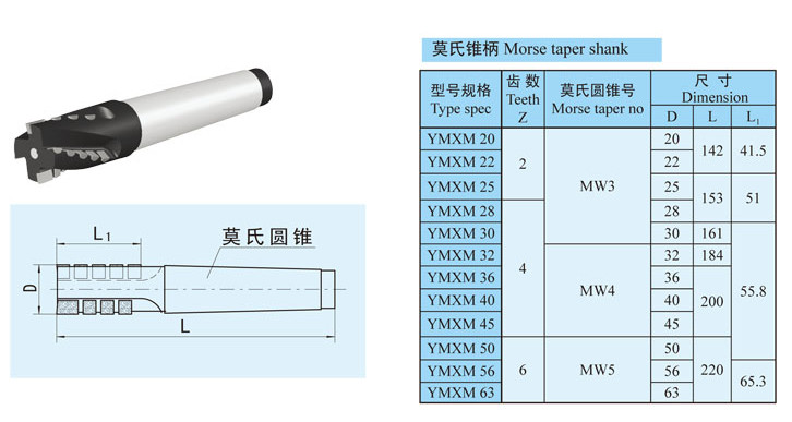 Dia 20 mm - 50 mm Indexable Cutting Tools , Chamfer Milling Machine Tools