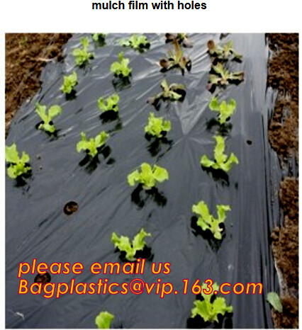 0.1mm 0.12mm 0.15mm 0.18mm 0.2mm 0.25mm hydroponic agriculture white/black panda opaque polyethylene PE film BAGPLASTICS