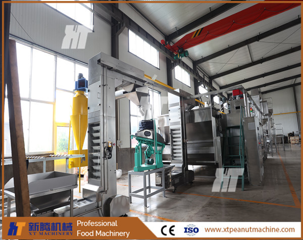 LPG Gas Z Bucket Elevator Lifter Conveyor Paternoster For Peanut Processing Machinery