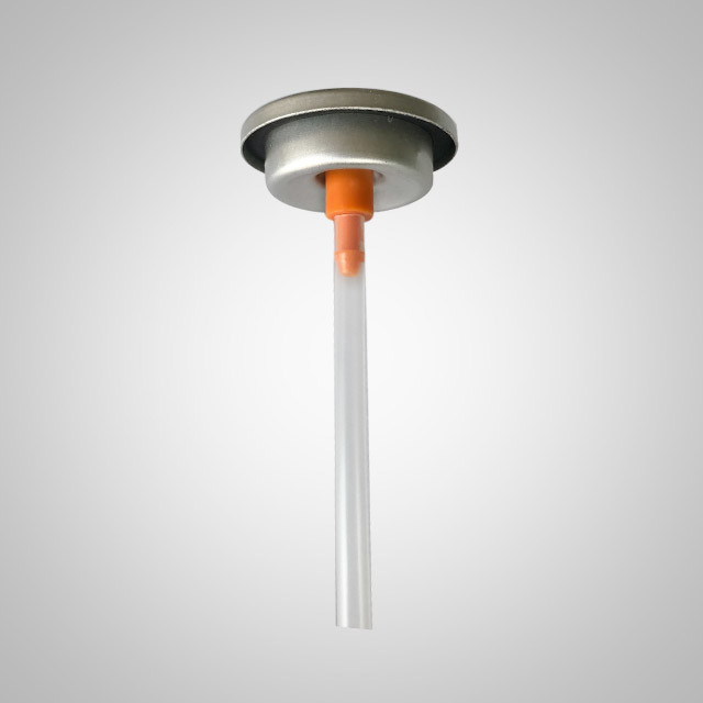 25.4mm Spray Paint Valve with Stainless Steel Spring