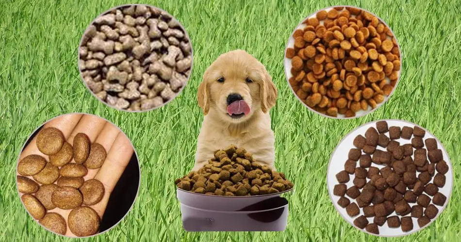 Pet Foods Zipper Pouch Packing Machine Foods Doy Pack Weighing Packing Machine