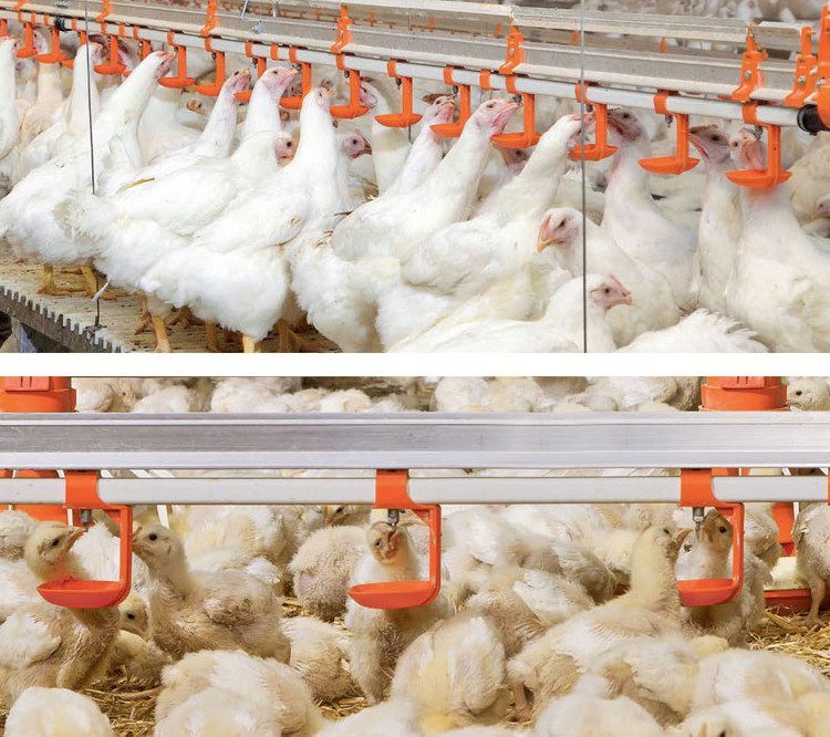 PVC Poultry House Accessories Water Inlet Valve And Pipe