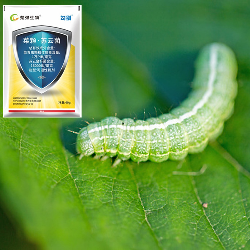100% Natural Tomato Leaf Insecticides And Pesticides For Plants SC PrGV Bt
