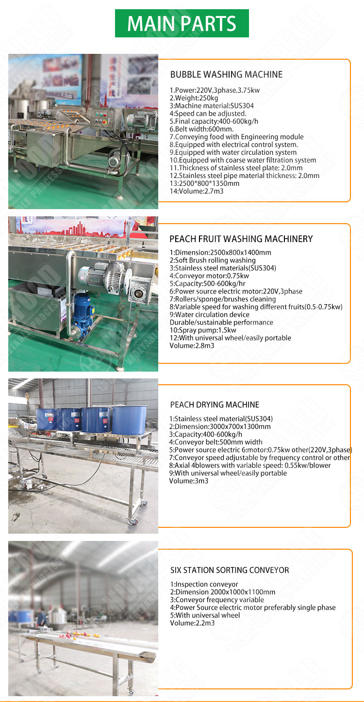 Hot selling Factory Direct Sales Conveyor Belt Vegetable Washer by Huafood