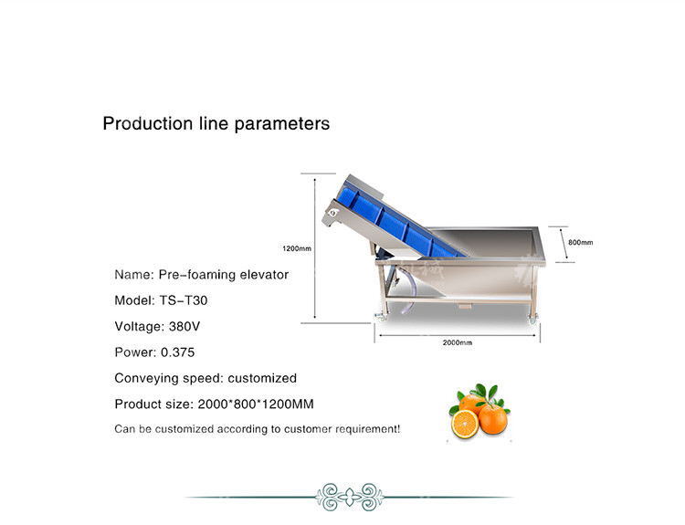 Kiwi Carrot Taro Vegetable Brush Bubble Cleaning Machine 2.5KW