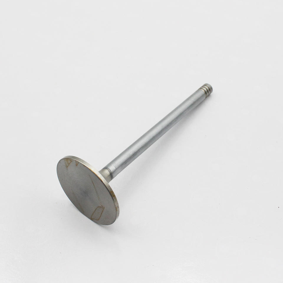 21896344 20758481 Diesel Engine Valve D7E For Volvo EC210 EC210B