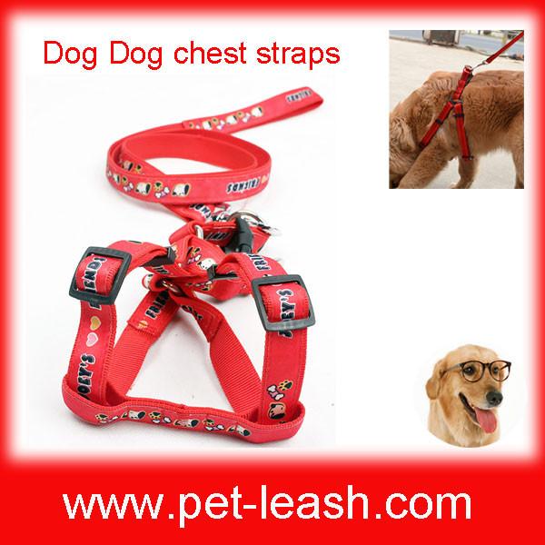 Quality Collar type traction rope can be adjusted For small large dogs QT-0075 for sale
