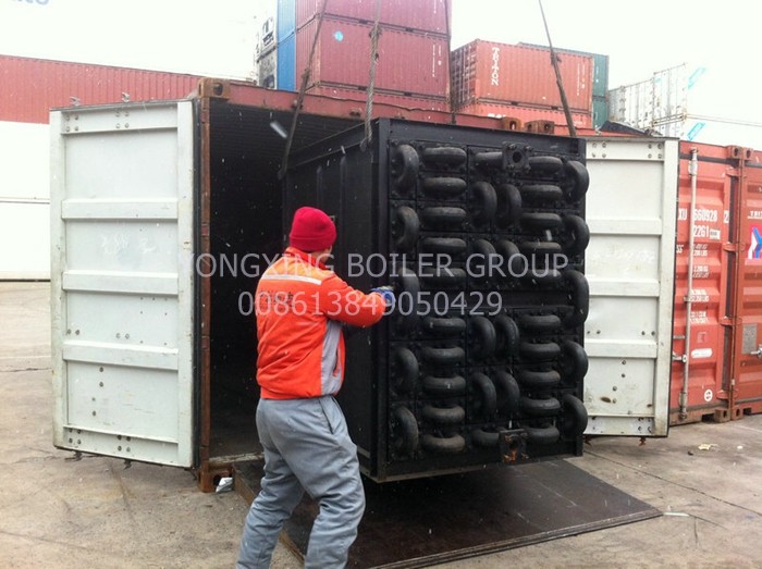 25 Ton Steam Boiler Economizer Cast Iron Coal Biomass Fired Boiler Economizer