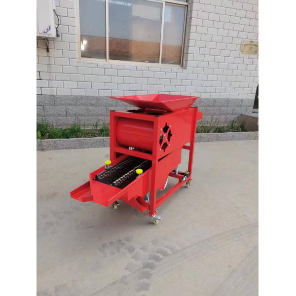 OEM Vertical Vegetable Processing Machinery Garlic Lahsun Grading