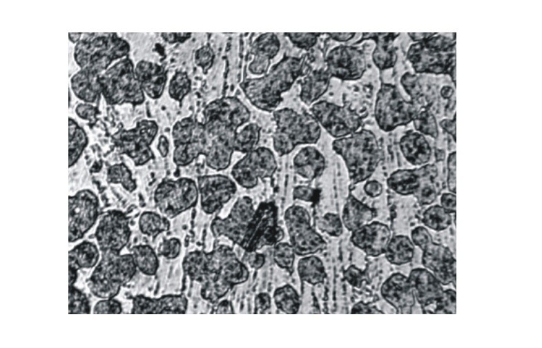 Coaxial Adjustable Brightness And Plan Achormatic Inverted Metallurgical Microscope