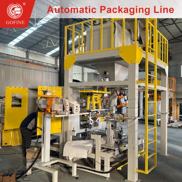 Quality Vertical High-Speed Packaging Production Line For Food Processing Industry for sale