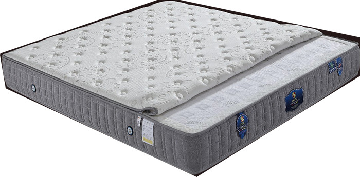 Roll Up Visco Elastic Memory Foam Mattress With Detachable Zipper Cover