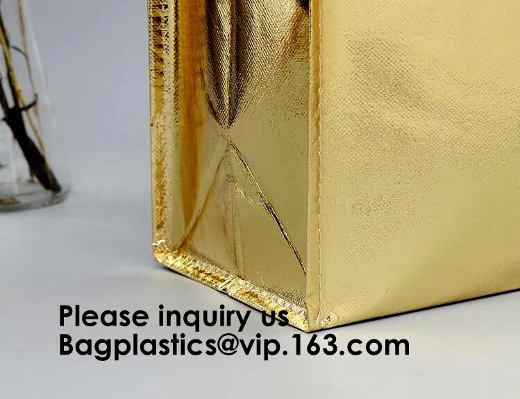 Non Woven Shopping Bag Tnt Material/Promotional Polypropylene Non Woven Bags/Non Woven Tote Bags, Eco Friendly Biodegrad