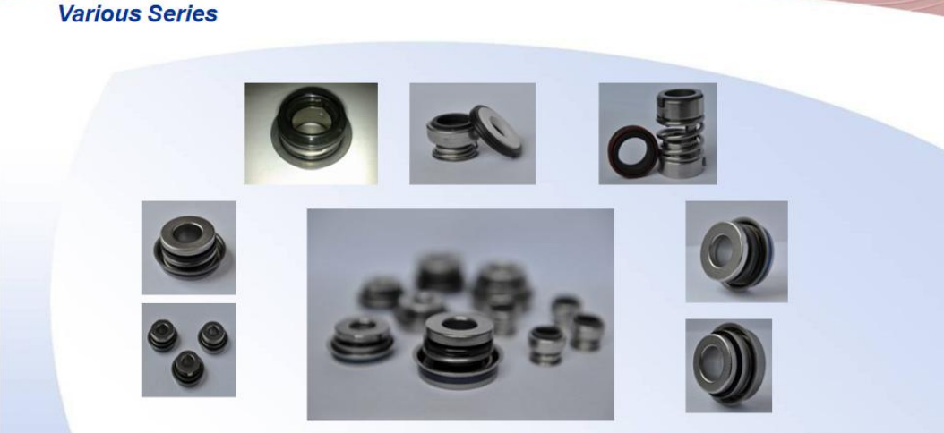 C16E OEM Car Mechanical Shaft Seal For Automotive Water Pump