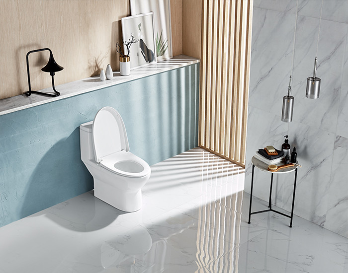 Washdown 1 Piece Dual Flush Toilet S trap 185mm Closestool