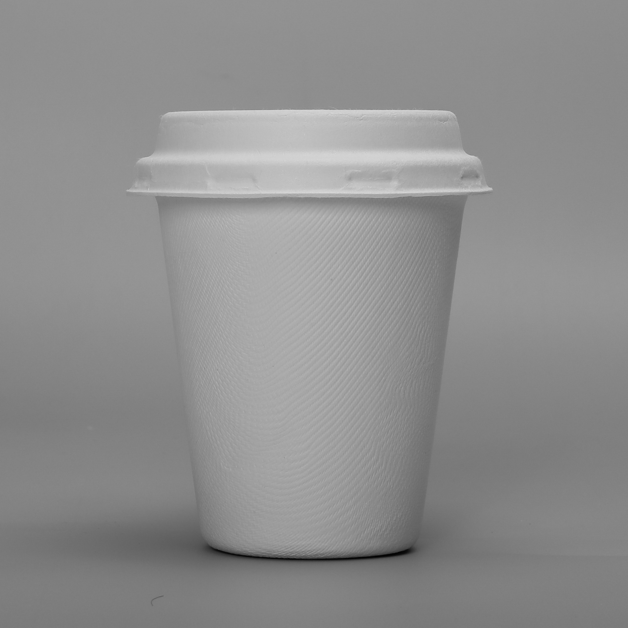 Bagasse Molded Pulp Leakproof 8oz 250ml Biodegradable Cups And Lids