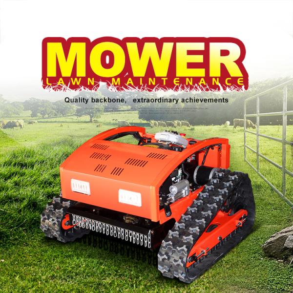 Free Shipping CE EPA Petrol Gasoline Engine All Terrain Grass Cutting Machine Rubber Remote Control Robot Flail Lawn Mower
