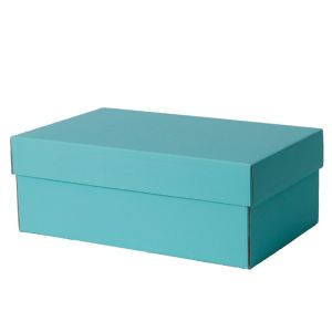 Recyclable Plain Cardboard Empty Shoe Boxes Packaging With Lids