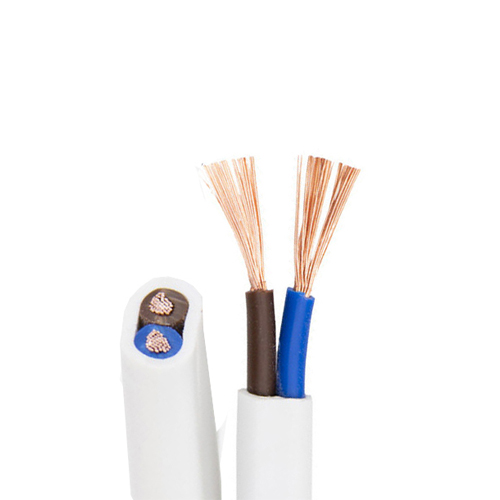JB/T8734.2012 Standard 2core Twin PVC Insulated Copper Conductor Electric Cable Wire