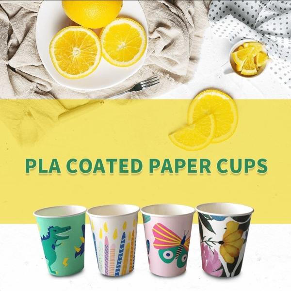 Biodegradable PLA Coated Paper Roll Customizable For Food Packaging Solutions