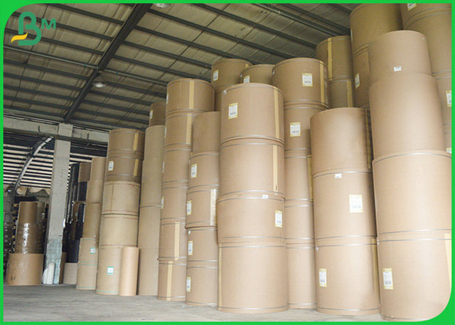 Recycled Pulp 170grams 200grams  Coated White Top Test Liner For Making Cartons