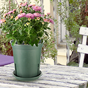 flower pots