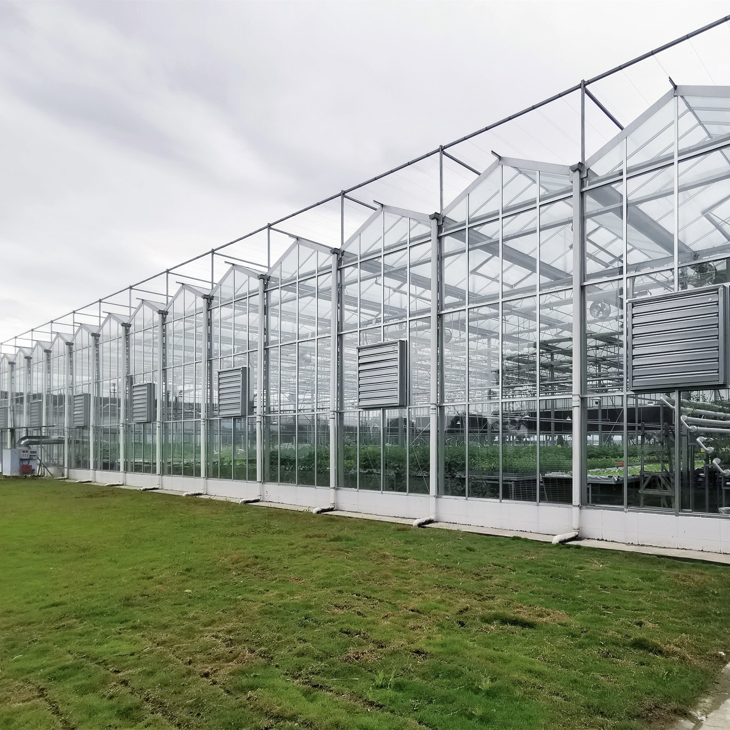Multi-Span Greenhouse Duble Plate Glass Galvanized Greenhouse Structure Glass Dutch Greenhouse Vertical