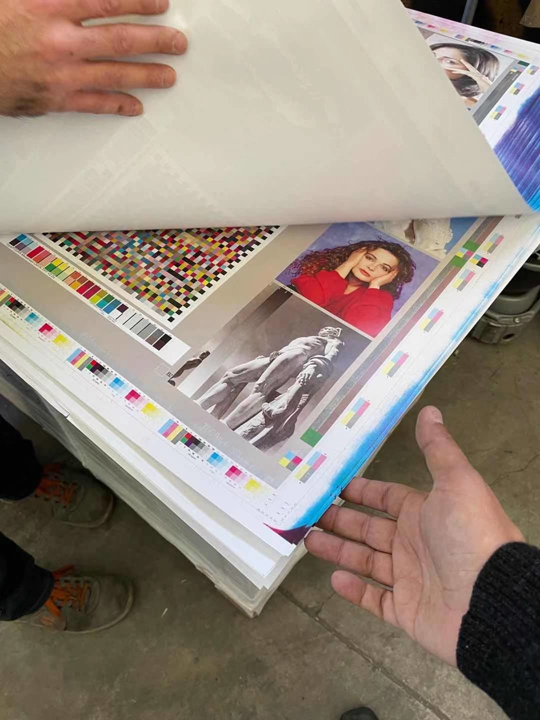 0.30mm 405nm Processless Offset Printing UV CTP CTCP Plate