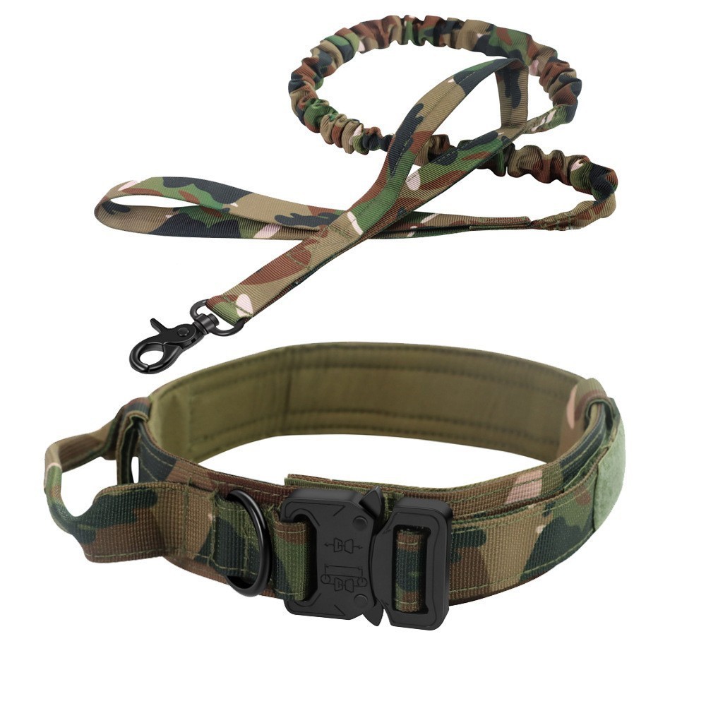  personalised dog collar and lead set