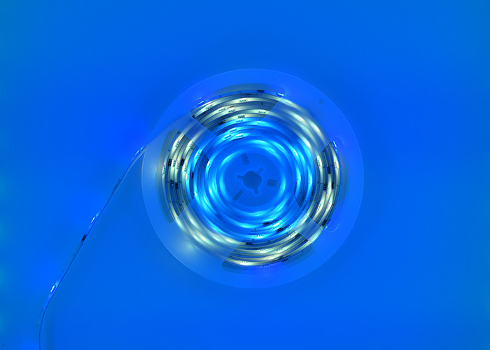 Magic 100Ra 100lm/W Remote Control Led Strip Lights