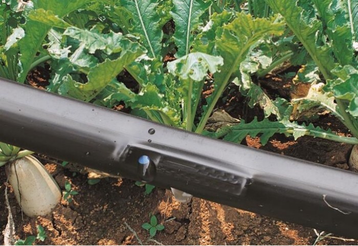 High Quality 16mm Polyethylene Tubing Drip Tapes Agricultural Irrigation System Drip Irrigation Tape