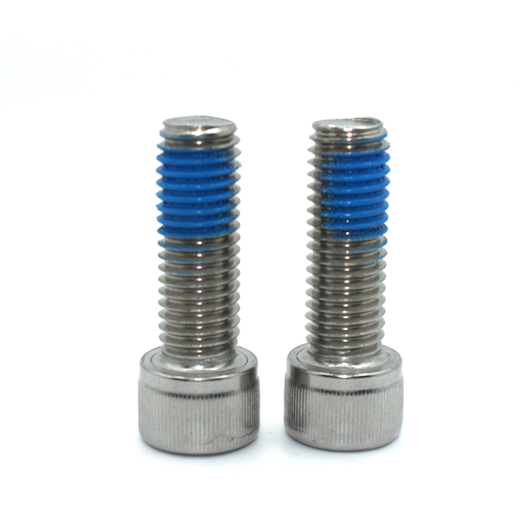 ISO9001 2015 Certified Metric Stainless Steel Nylon Coated Hex Socket Cap Screw Bolt