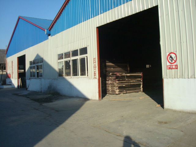Finger Jointed Core Poplar 20mm Film Faced Plywood