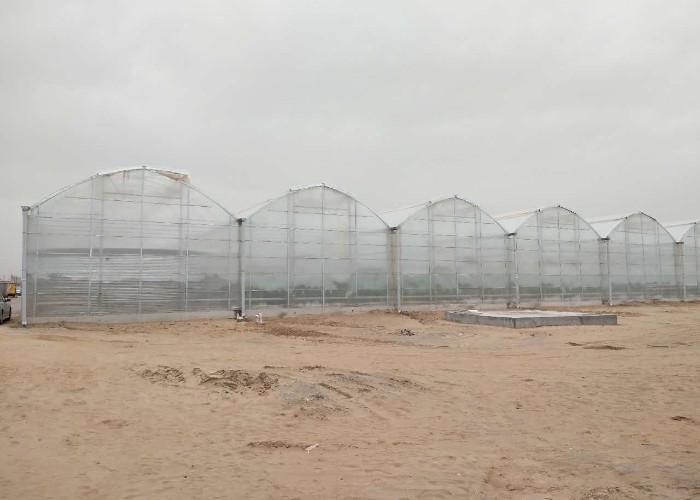 3mm 4mm 16mm 10mm Hollow Galvanized Polycarbonate Greenhouse With Growing System In Turkmenistan